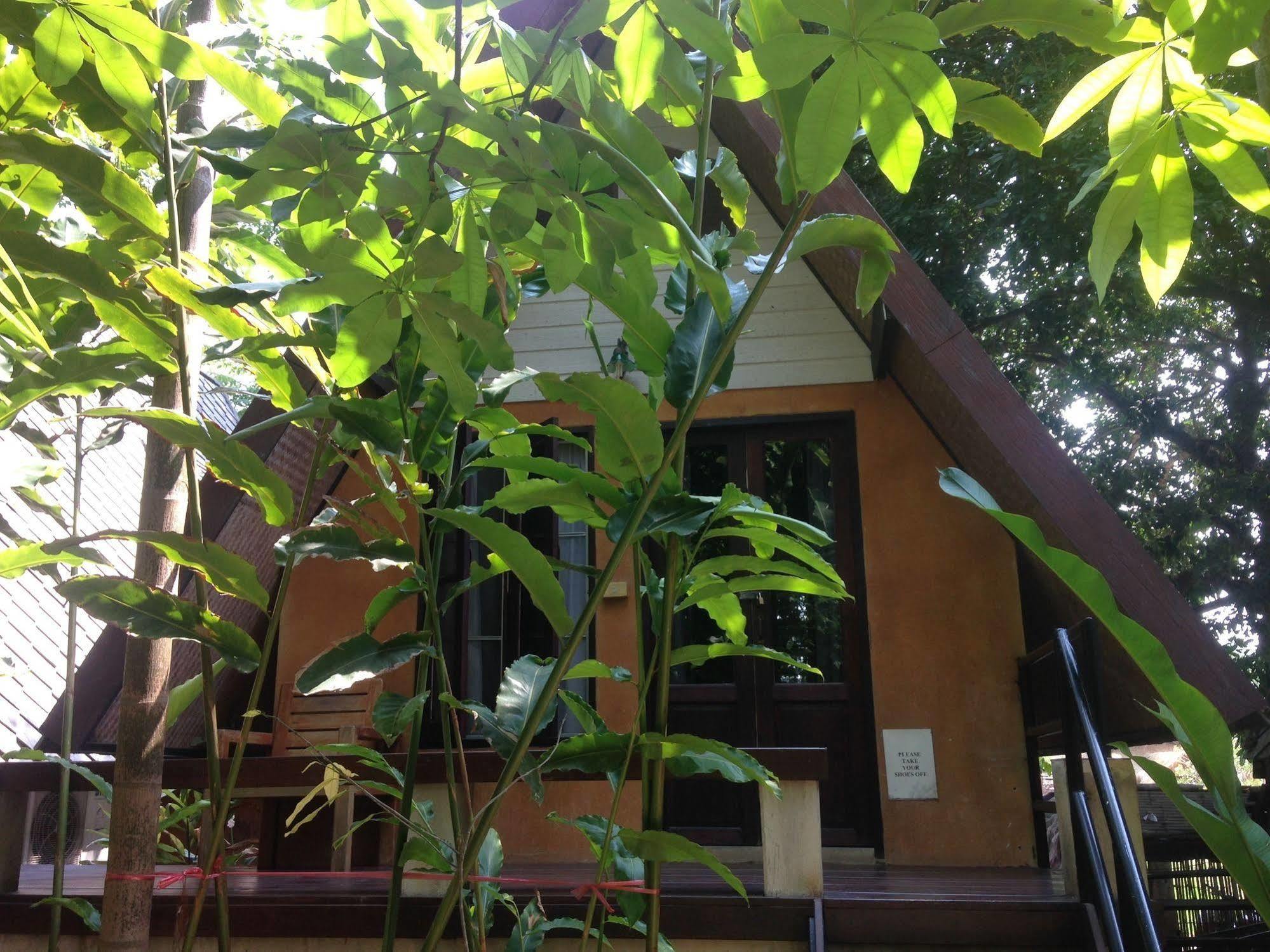 Breeze Of Pai Guesthouse Экстерьер фото